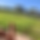 photo de