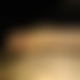 photo de petinouveau