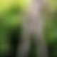 photo de mistermystere