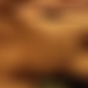 photo de montsu