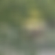 photo de nasdas11