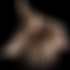 photo de jupettes32