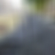 photo de