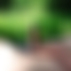 photo de actif51