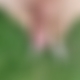 photo de sexame
