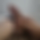 photo de frelon