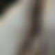 photo de ee0412