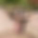 photo de inconudu92