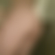 photo de plx42