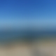 photo de aiglechauve