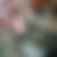 photo de camocamo79