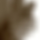 photo de dood