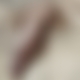 photo de