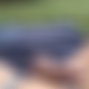 photo de beletalon19cm