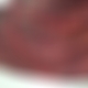 photo de attachant56