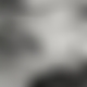 photo de 