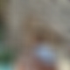photo de