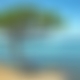 photo de dowi07