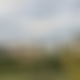 photo de dowi07
