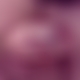 photo de palto