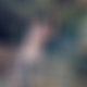 photo de steve62
