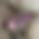 photo de